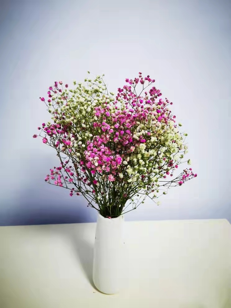 Nordic modern white ceramic vase creative flower arrangement decorations