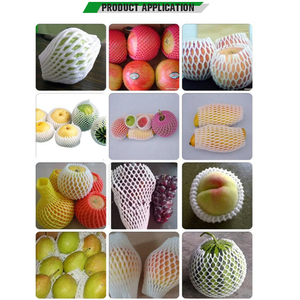 Extrusora de red de botellas de espuma PE plástica/máquina de fabricación de red de fruta EPE expandida - Product Image 5