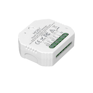 Materia 10A Smart Wifi Switch modulo di controllo remoto Wireless tramite eWelink Alexa Google Zigbee materia di rete compatibile - Product Image 1