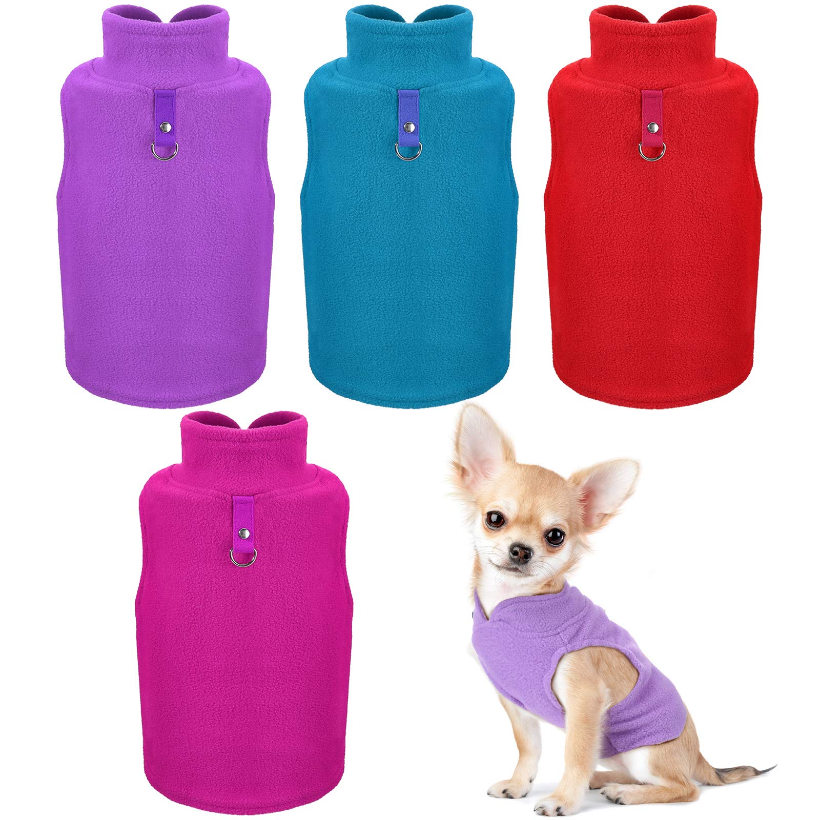 Purple, Blue, Rose, Red
