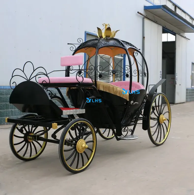 Carrozza elettrica di lusso royal wedding carrozza turistica personalizzata carrozza cenerentola pumpkin in vendita