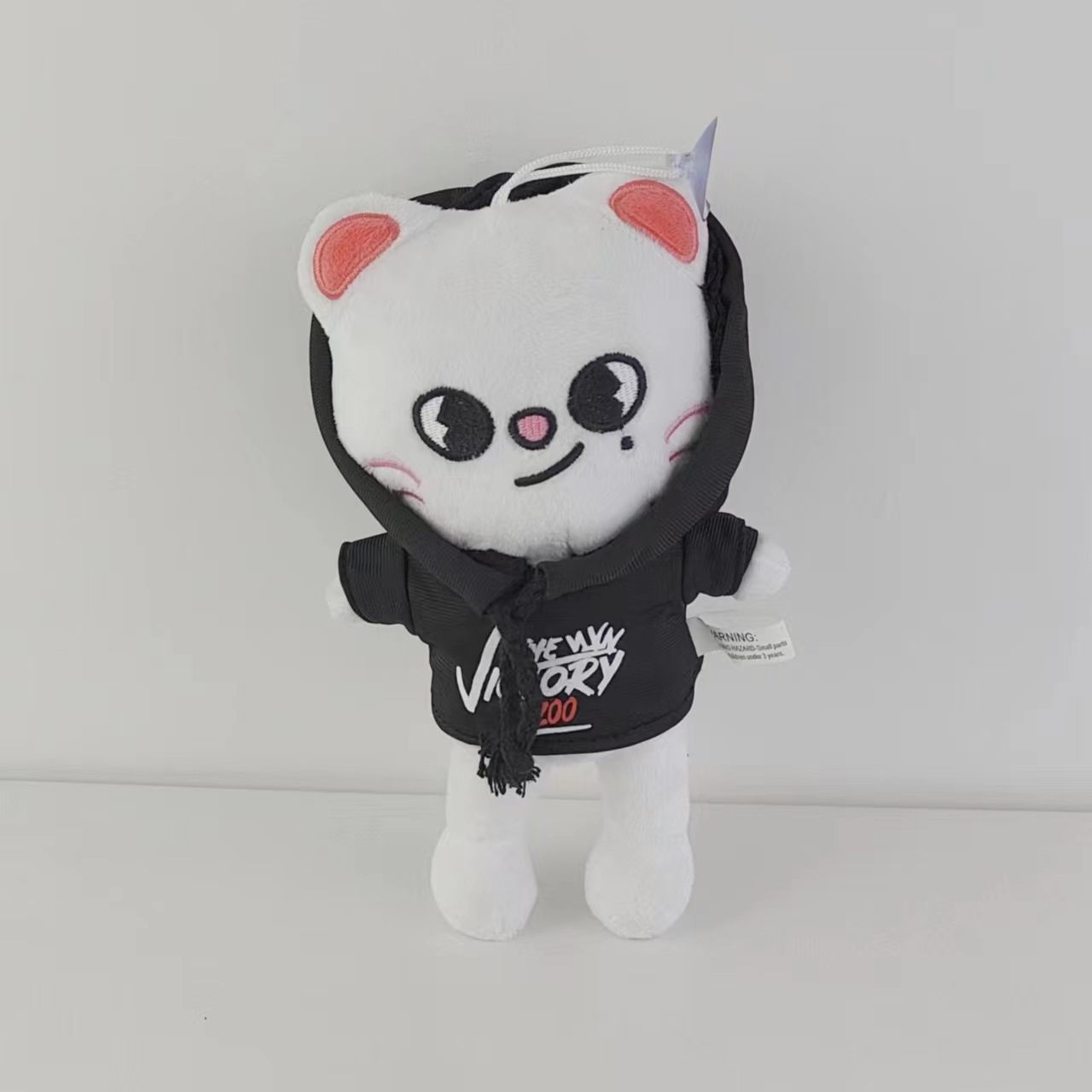 White cat with Hoodie