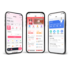 Benutzer definierte Android & IOS App Quellcode-Entwicklungs software System anwendungs dienste