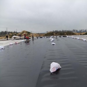 Balık çiftliği gölet Liner Hdpe 1mm geomembran Akg özellik malzeme kökenli tipi inşaat yer modeli - Product Image 4
