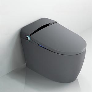 モダンな家庭用の加熱シート、ビデ、リモコン付きDOLOGIラグジュアリースマートトイレ - Product Image 4