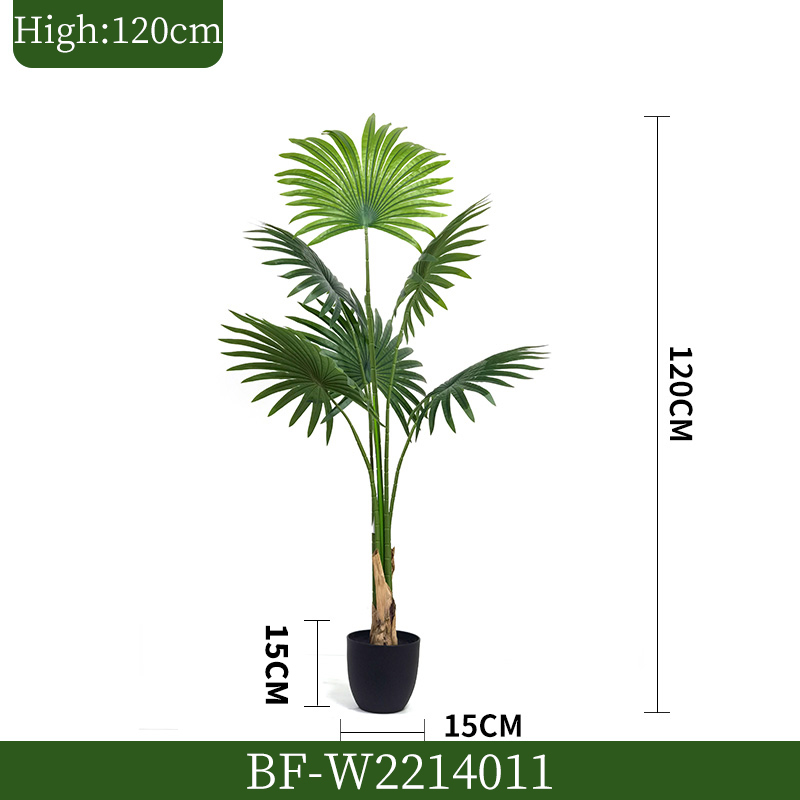 120CM/Sabal