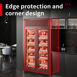 Sığır kuru yaşlanma buzdolabı fileto biftek et kuru Ager kabine FridgeGlobal limana ücretsiz kargo - Product Image 5