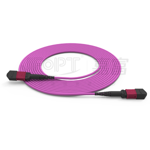 แพทช์สายไฟเบอร์ออปติกแพทช์ OM4สูญเสียต่ำ Mpo Mtp Trunk 12F LSZH 3.0มม. 15ม. สำหรับเครือข่าย WIFI - Product Image 4