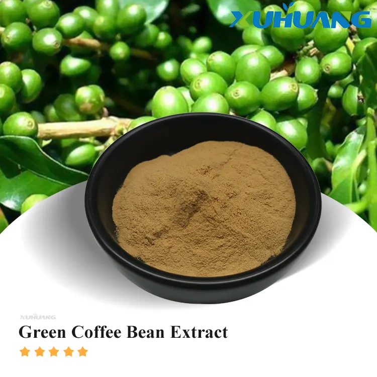 Polvo de extracto de grano de café verde 10% ácido clorogénico Natural Xuhuang