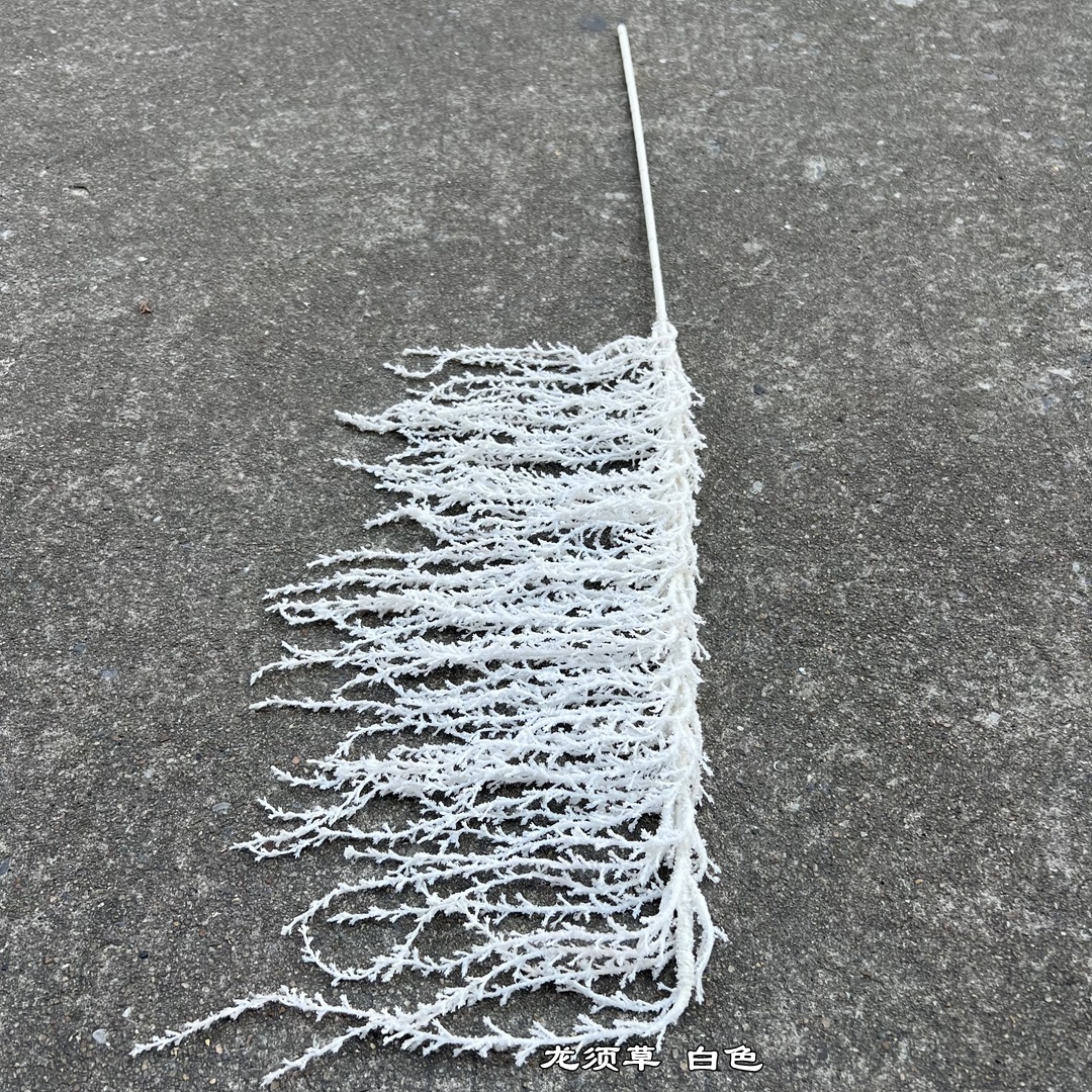 Herbe à moustaches de dragon artificielle-blanc