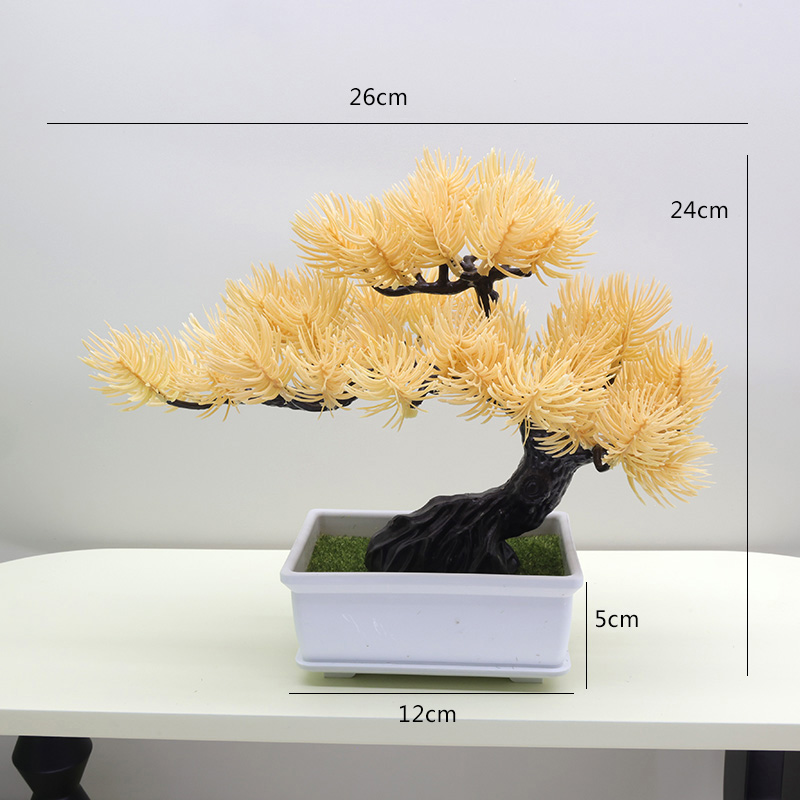 48 Belleza Pine Champagne