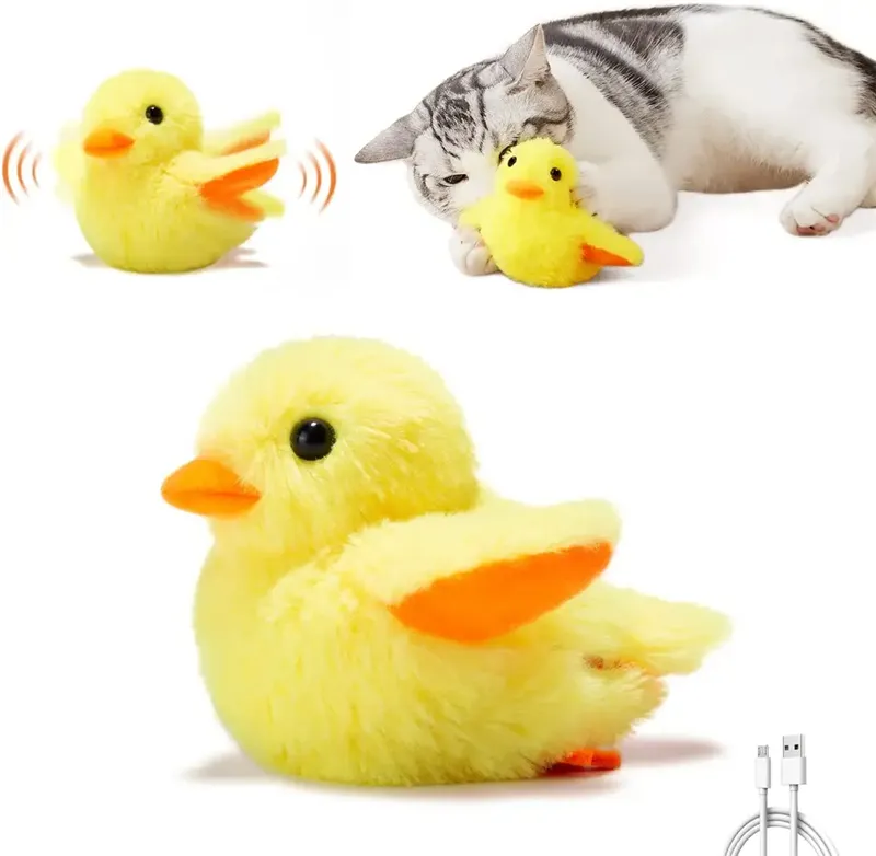 New Design Pet Cat Sounding Toy Rechargeable electronic plush toys With cat interactive toy bird and lobster