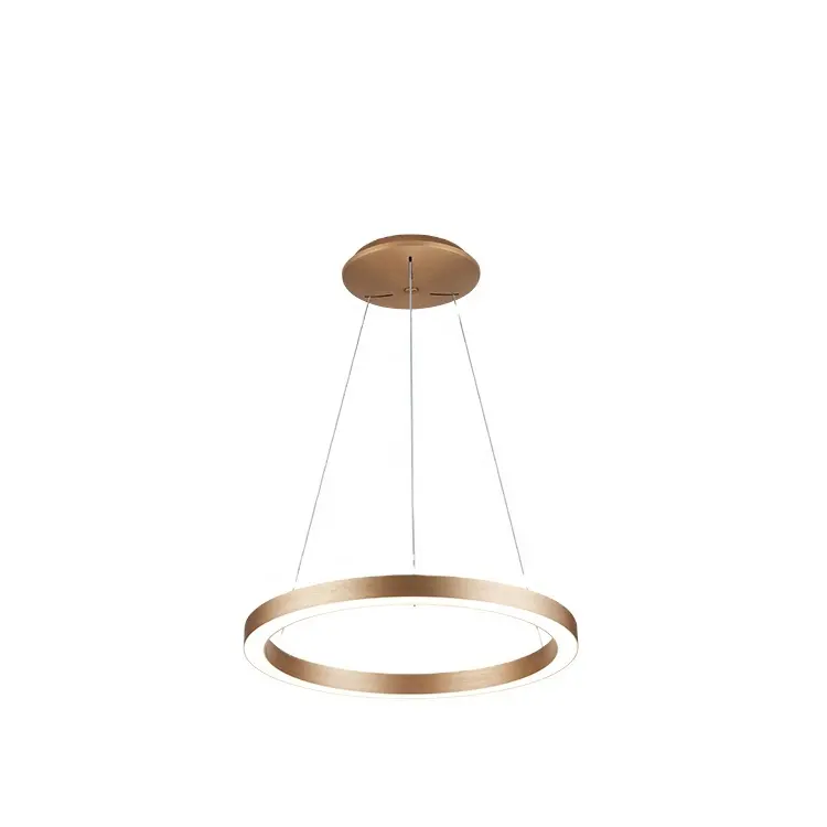 Hot Selling Product Goedkope Cirkel Goud Opknoping Kroonluchter Plafond Hanglamp Lamp Met Redelijke Prijs