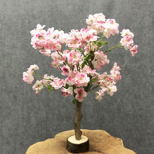 屋内の小さな人工桜の木花の装飾結婚式のセンターピースの木 - Product Image 2