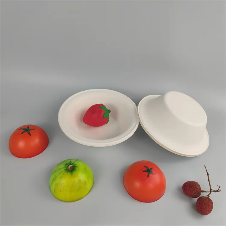 3 partition bagasse tray with lid