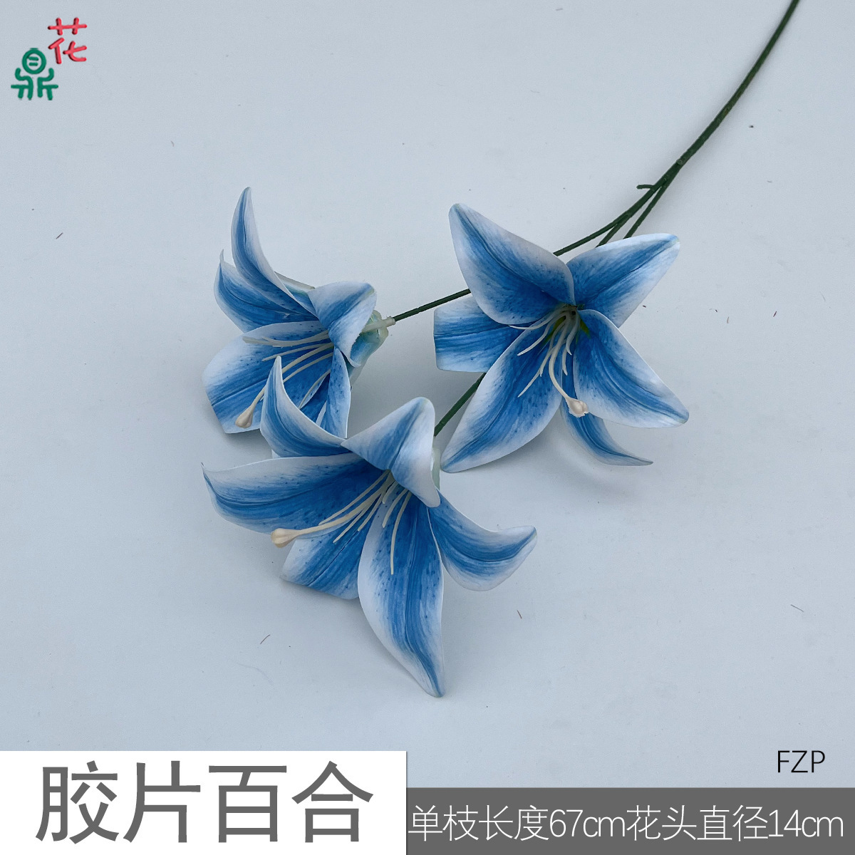 ฟิล์ม Lily fzp สีน้ำเงิน