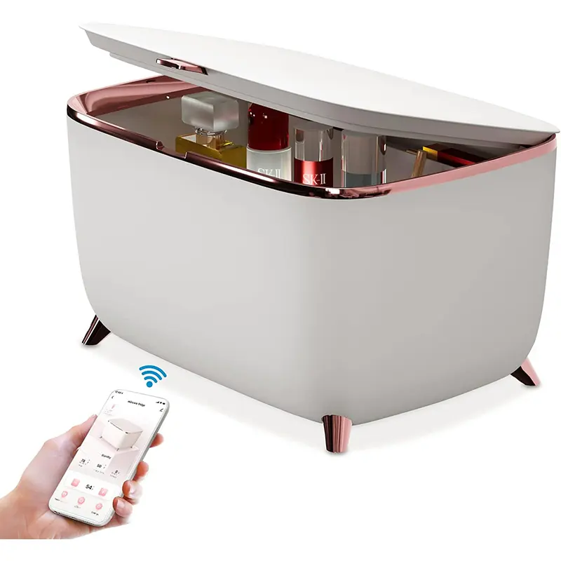 Smart Mini Skincare Cosmetology frigo 6L 10L Makeup fregorifero per la conservazione della pelle refrigerazione con controllo della temperatura