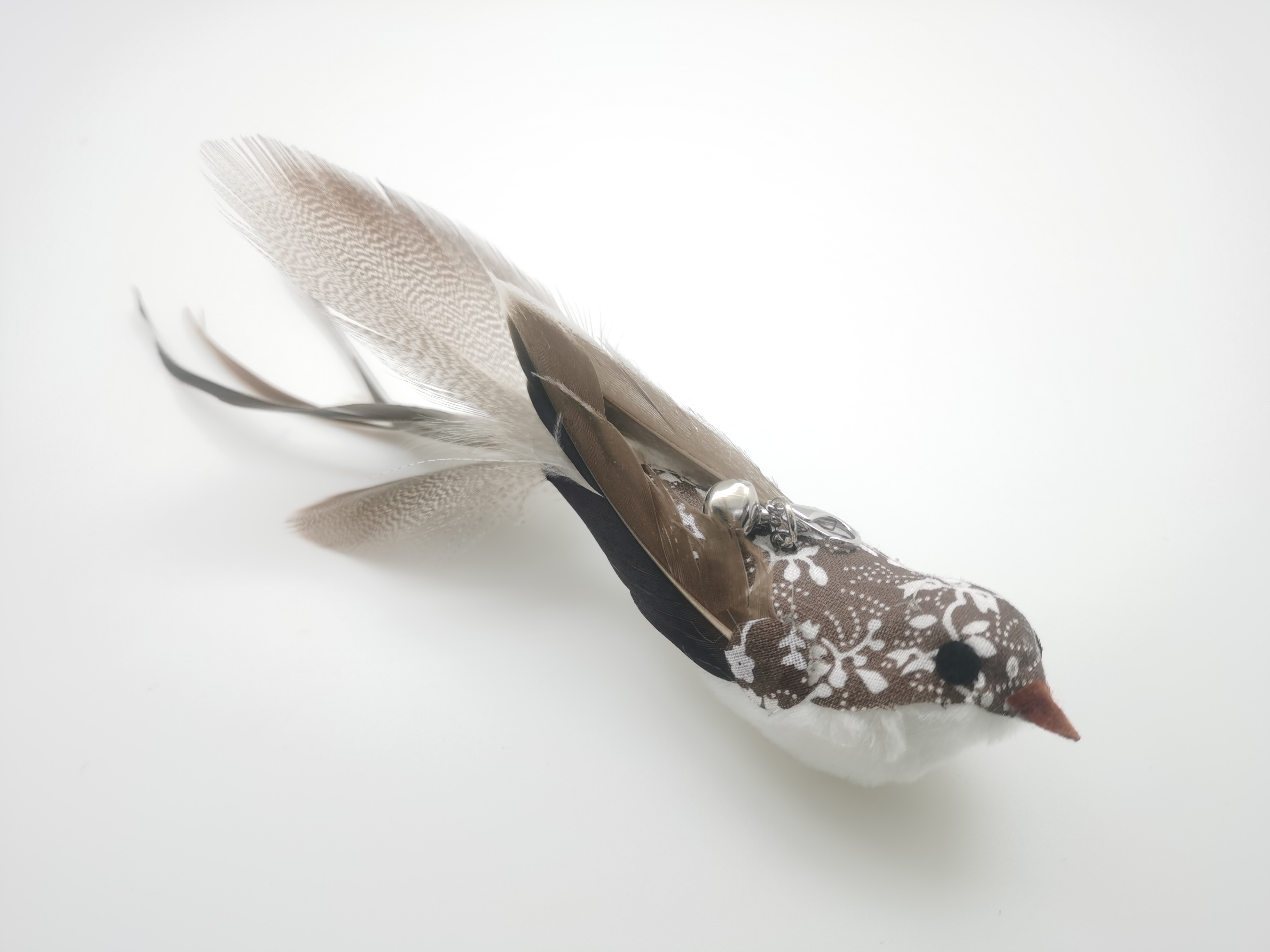 long tail bird-gray