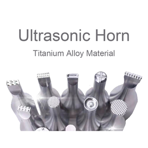 Factory Price 35KHz Ultrasonic Horn Ultrasonic Titanium Alloy <strong>Mold</strong> Customized Pattern of Ultrasonic Welding Machine Spot <strong>Welder</strong> - Product Image 2