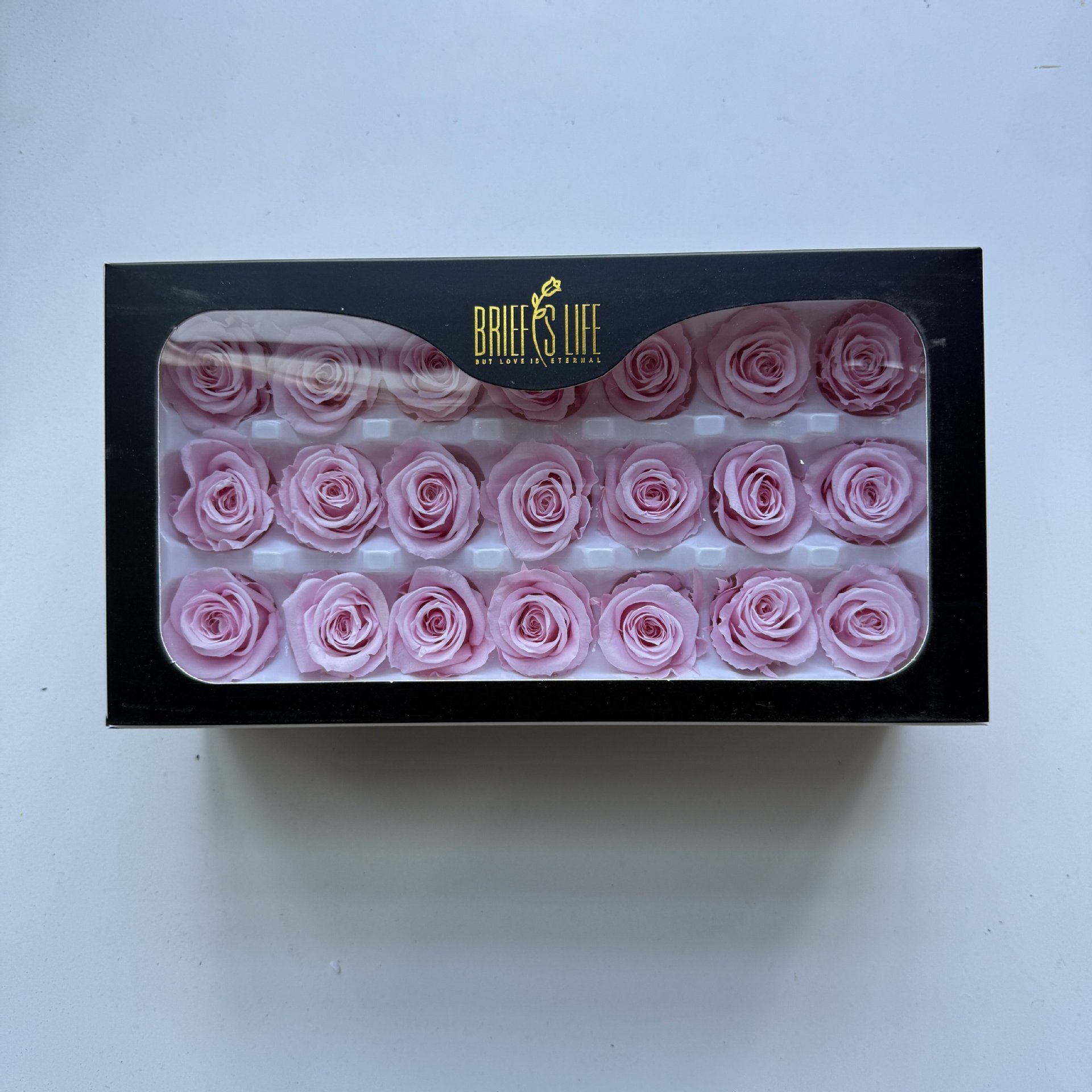 Rosa dei fiori di ciliegio