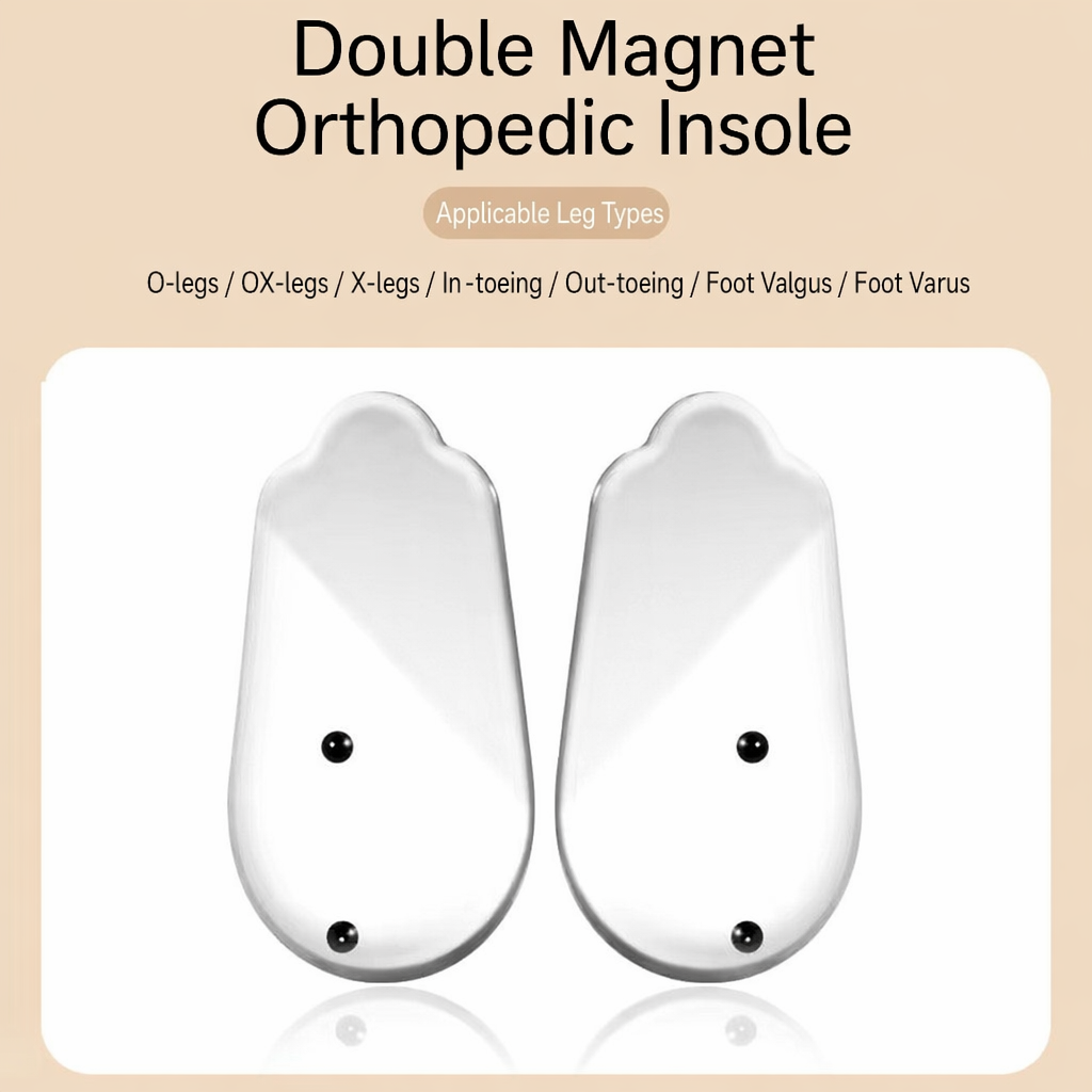 Double magnet adult