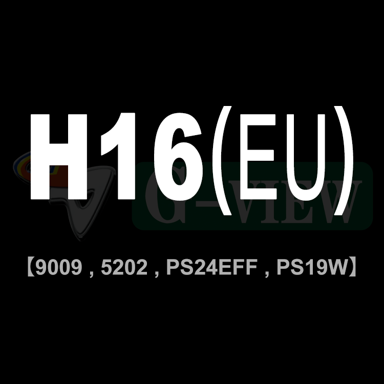 H16