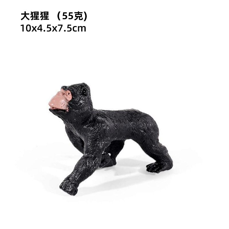 Gorilla