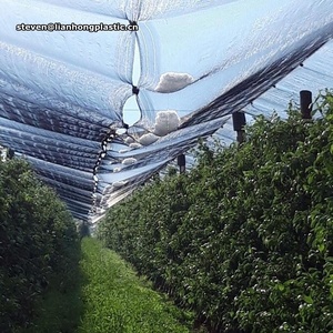 プラスチックネット中国工場価格果樹用,レノ織りHDPEアンチヘイルネット - Product Image 6