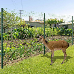 Rifornimento di fabbrica rete di plastica stabilizzata UV rete Anti-uccello rete per uccelli agricolo - Product Image 5