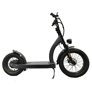 750wモーター<span class=keywords><strong>16</strong></span>インチスノー電動スクーターオフロードデュアルドライブ電動スクーター