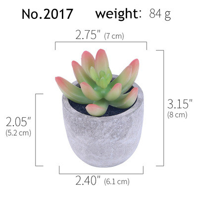 RTS2017(84g)