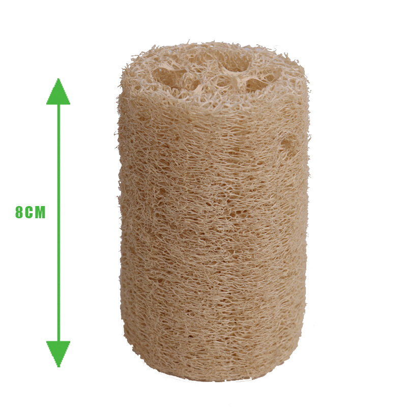 Corta la esponja de lufa en trozos de 8 cm (6-8 cm de diámetro).