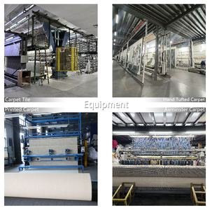 Hot bán tường-to-tường thảm cho phòng ngủ và đánh hành lang chần thiết kế in thảm - Product Image 5