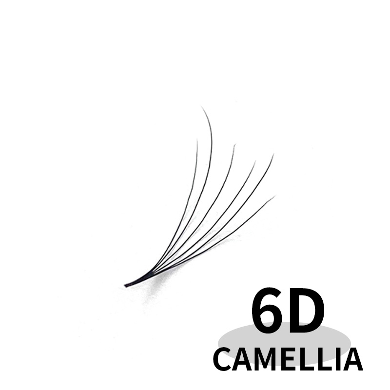 C6D