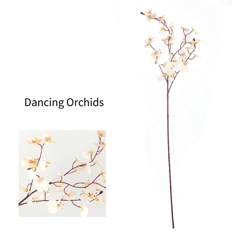 #3 Orchidées dansantes blanches