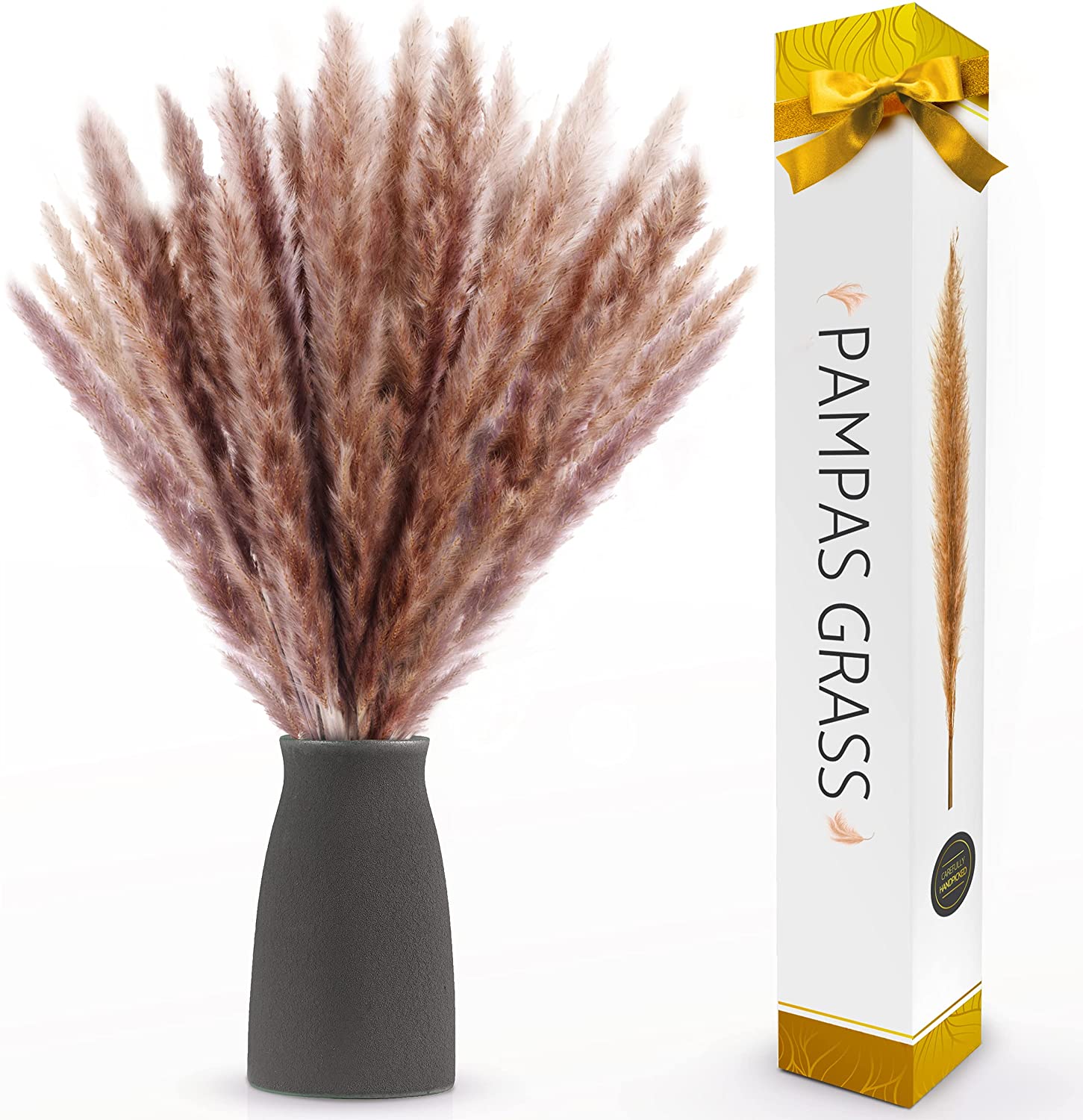 15 PCS Hierba Natural Pequeña Pampas