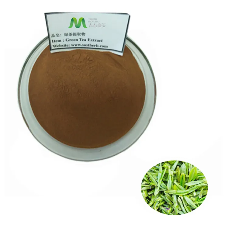 สารสกัดจากชาเขียวอินทรีย์ผง84650-60-2ด้วยโพลีฟีนชา10%-98%