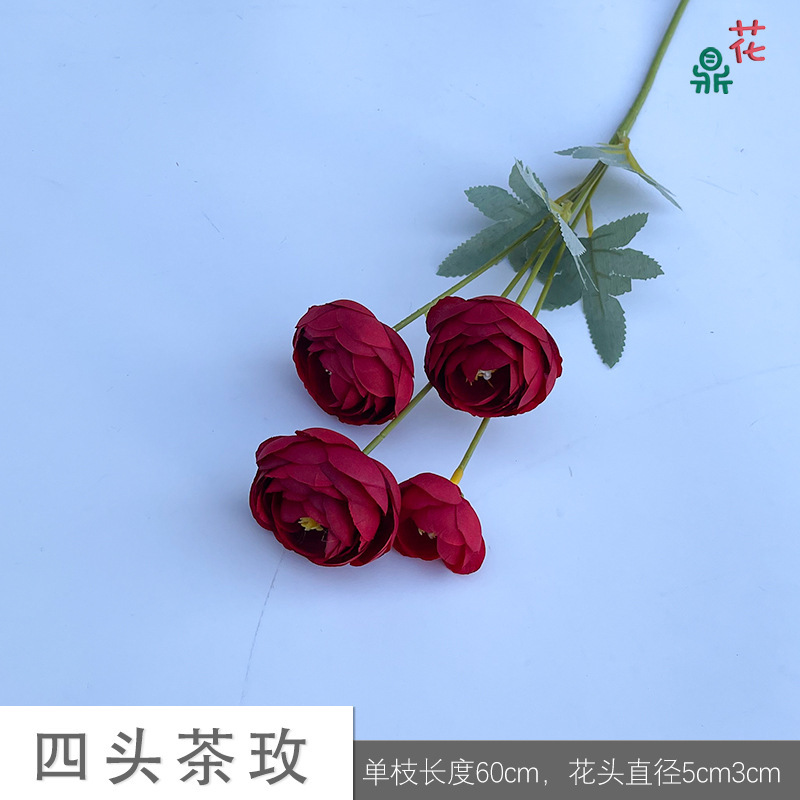 Rose de thé à quatre têtes XHX Rouge