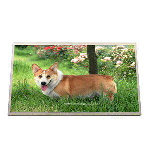 <span class=keywords><strong>B133xw02</strong></span> <span class=keywords><strong>v0</strong></span> WLED 12k giờ 13.3 inch 1366*768 WXGA 118ppi Độ phân giải giá thấp <span class=keywords><strong>LCD</strong></span> màn hình hiển thị cho máy tính xách tay - Product Image 1