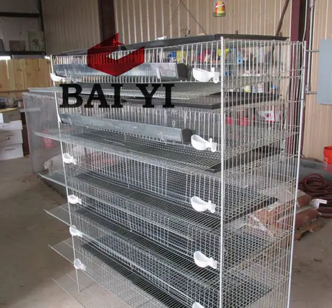 Cage en métal à caille 6 niveaux, livraison gratuite, cages à caille pour œufs, à vendre aux amusant