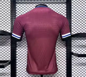 Tùy chỉnh chất lượng hàng đầu 24/25 Norway bóng đá Jersey 2024 2025 đội tuyển quốc gia bóng đá Áo sơ mi nam trẻ em Kit thiết lập nhà đi người đàn ông - Product Image 3