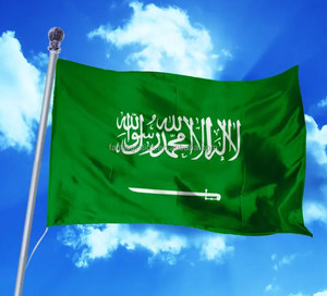DHL Express Freight Forwarder Logistics Service Door to Door DDP Shipping Agent From Shenzhen to <strong>Saudi</strong> Arabia KSA Jeddah Dubai - Product Image 1