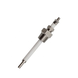 Sonda de electrodo de nivel de agua de acero inoxidable, sonda de controlador de nivel de líquido de alta temperatura automática para vapor de caldera