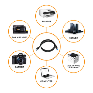 Özel USB yazıcı kablosu USB tip A erkek B erkek 2.0 yazıcı veri kablosu - Product Image 6