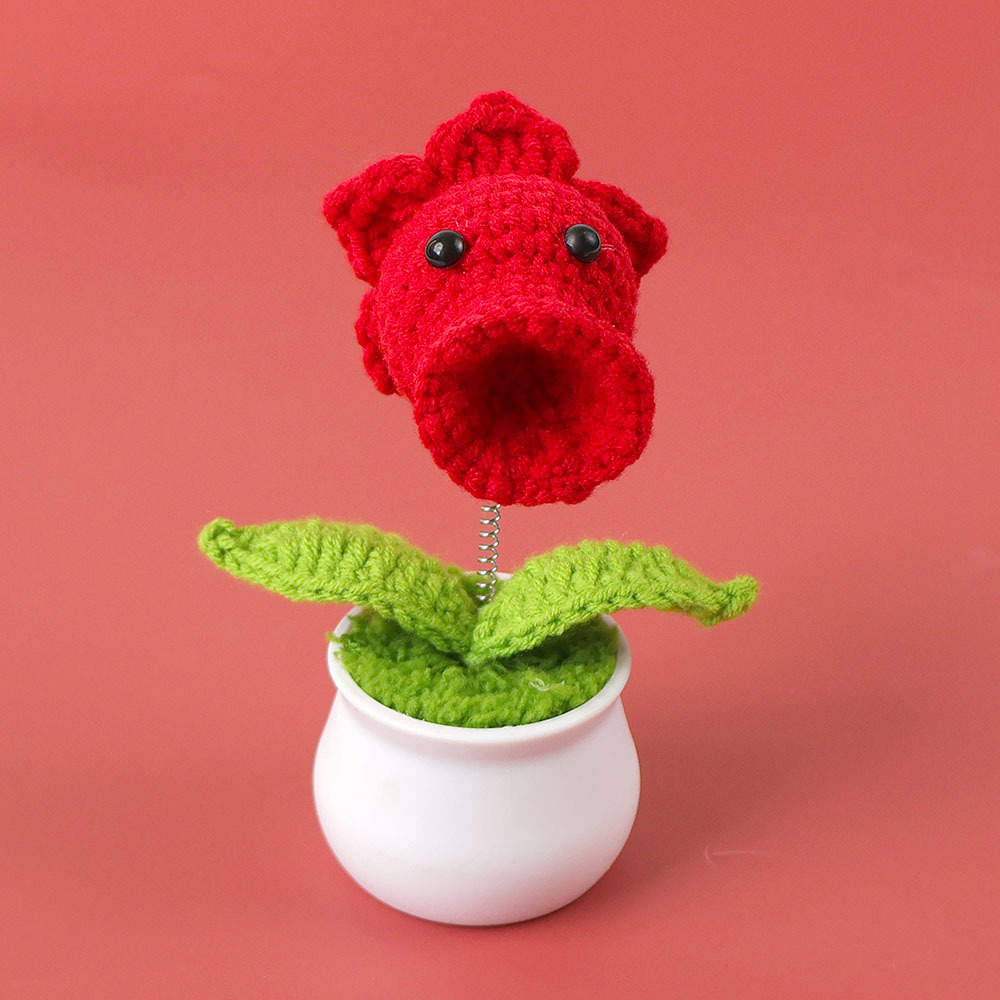 Flame shooter potted plant