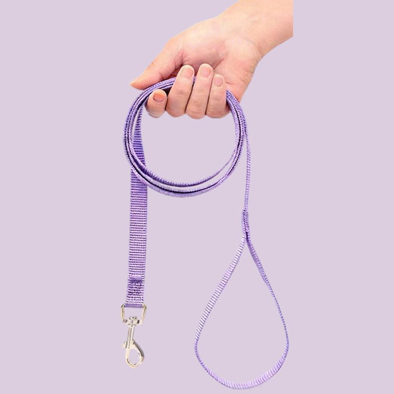 Violet (laisse)