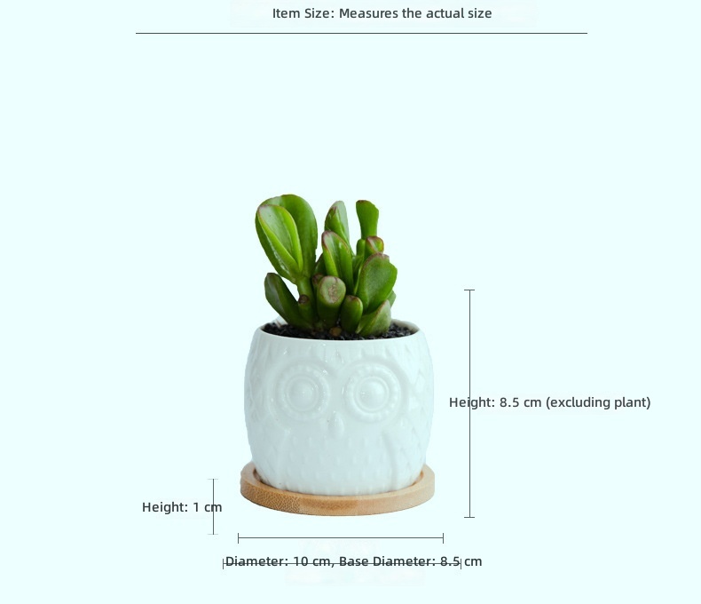 lavabo de búho blanco