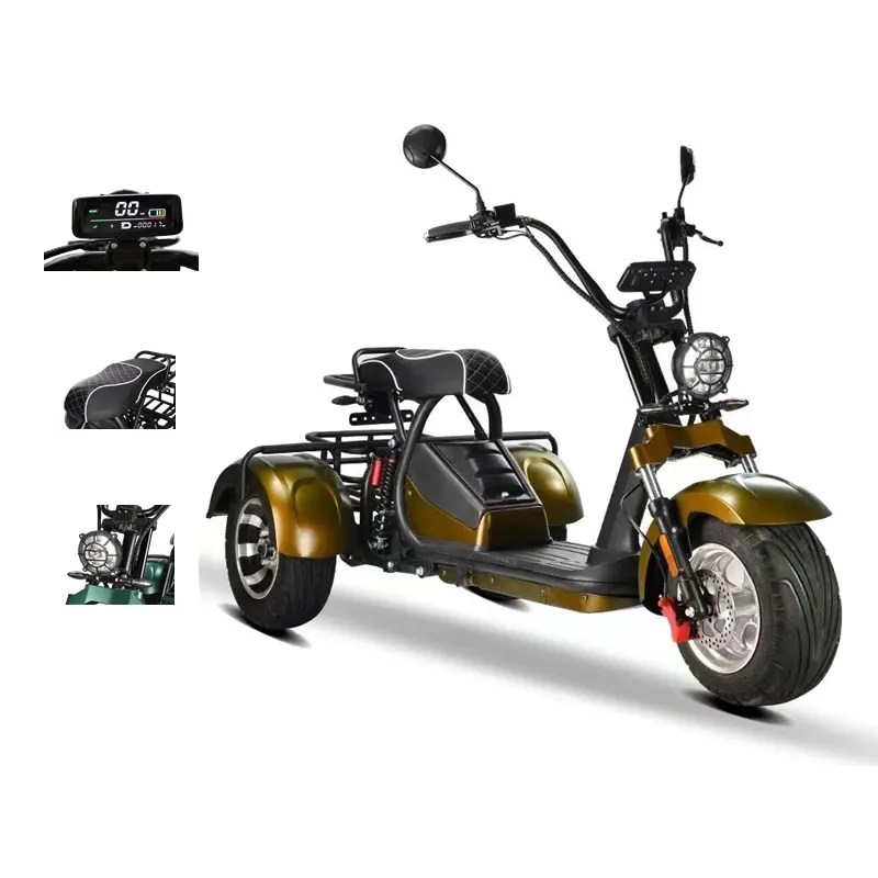 Dengan coc eec gaya baru 2022 memiliki Ban gemuk sepeda motor listrik warna-warni skuter listrik citycoco citycoco skuter
