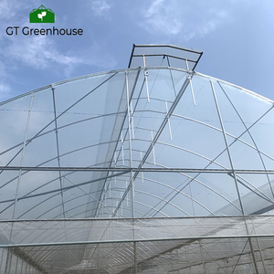 GT vòm màu xanh lá cây nhà kim loại khung Multi-span nhà kính nông nghiệp - Product Image 6
