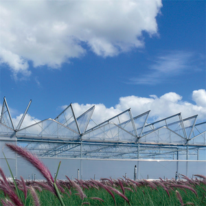 Invernadero de vidrio con sistema de riego, Sistema Automático resistente al viento y duradero, tipo venlo para verduras, multispan - Product Image 4